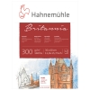 Блок для акварелі Hahnemuhle Britannia СР 30*40 300г 12 арк (10628981)